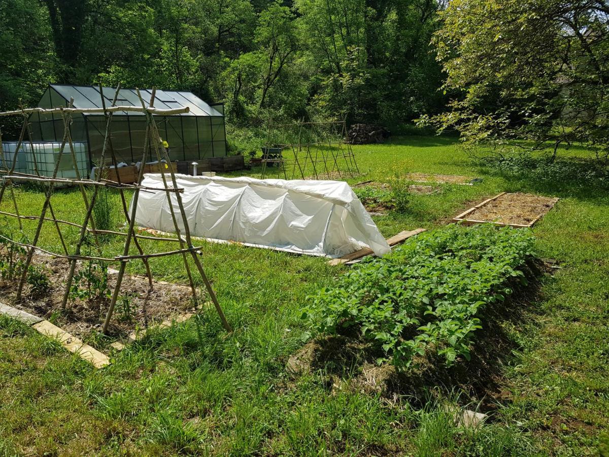 Murat Le Moulin De Jules Et Akasha B&B 외부 사진